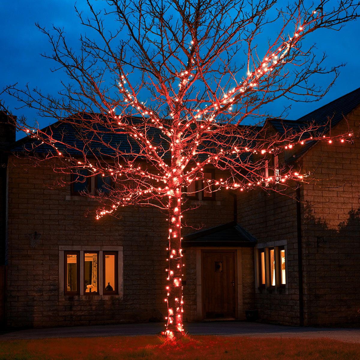  ConnectGo Outdoor LED Fairy Lights in Red