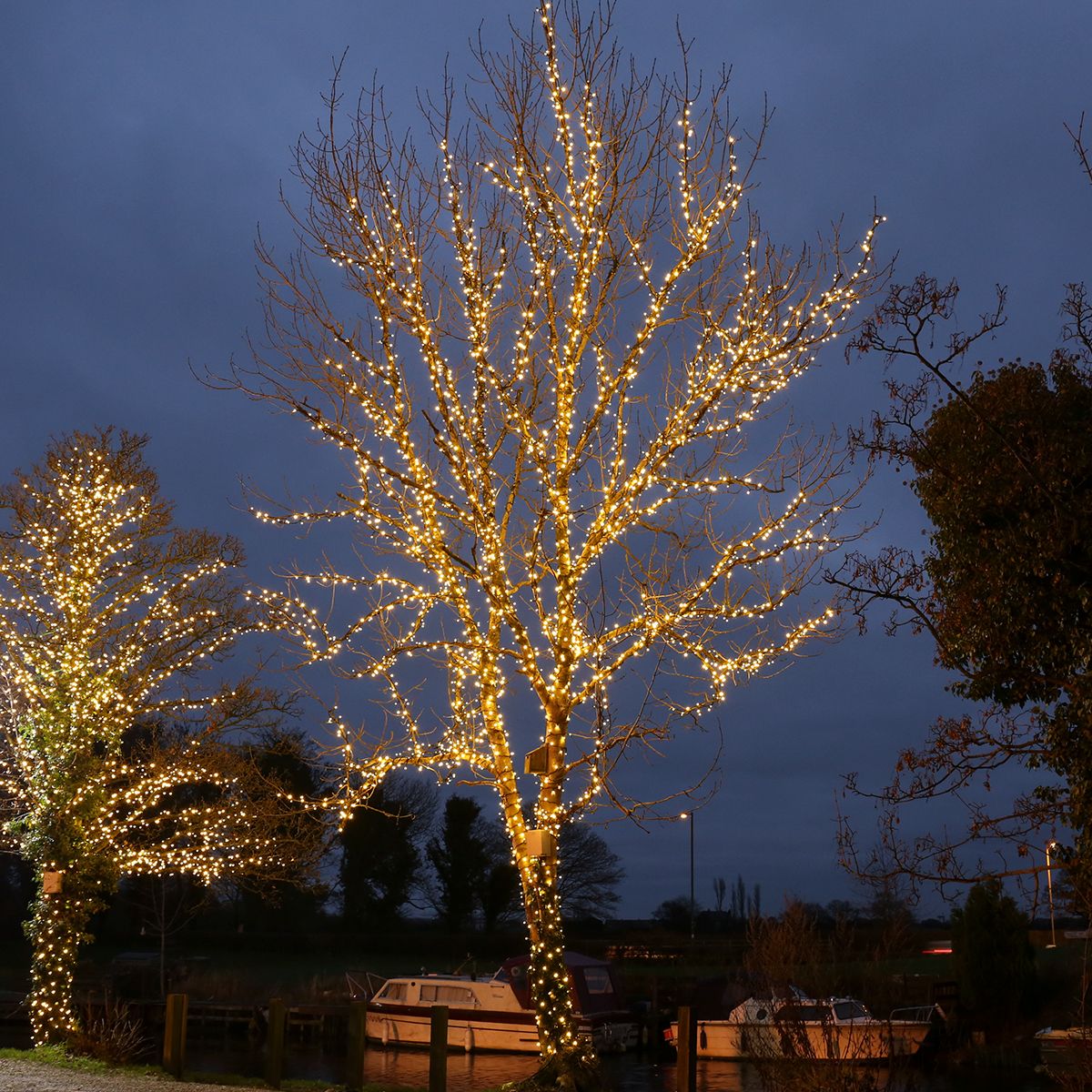 How to String Led Lights on a Tree: Easy Steps for Stunning Glow