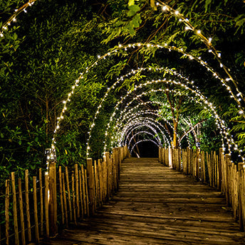 best christmas lights