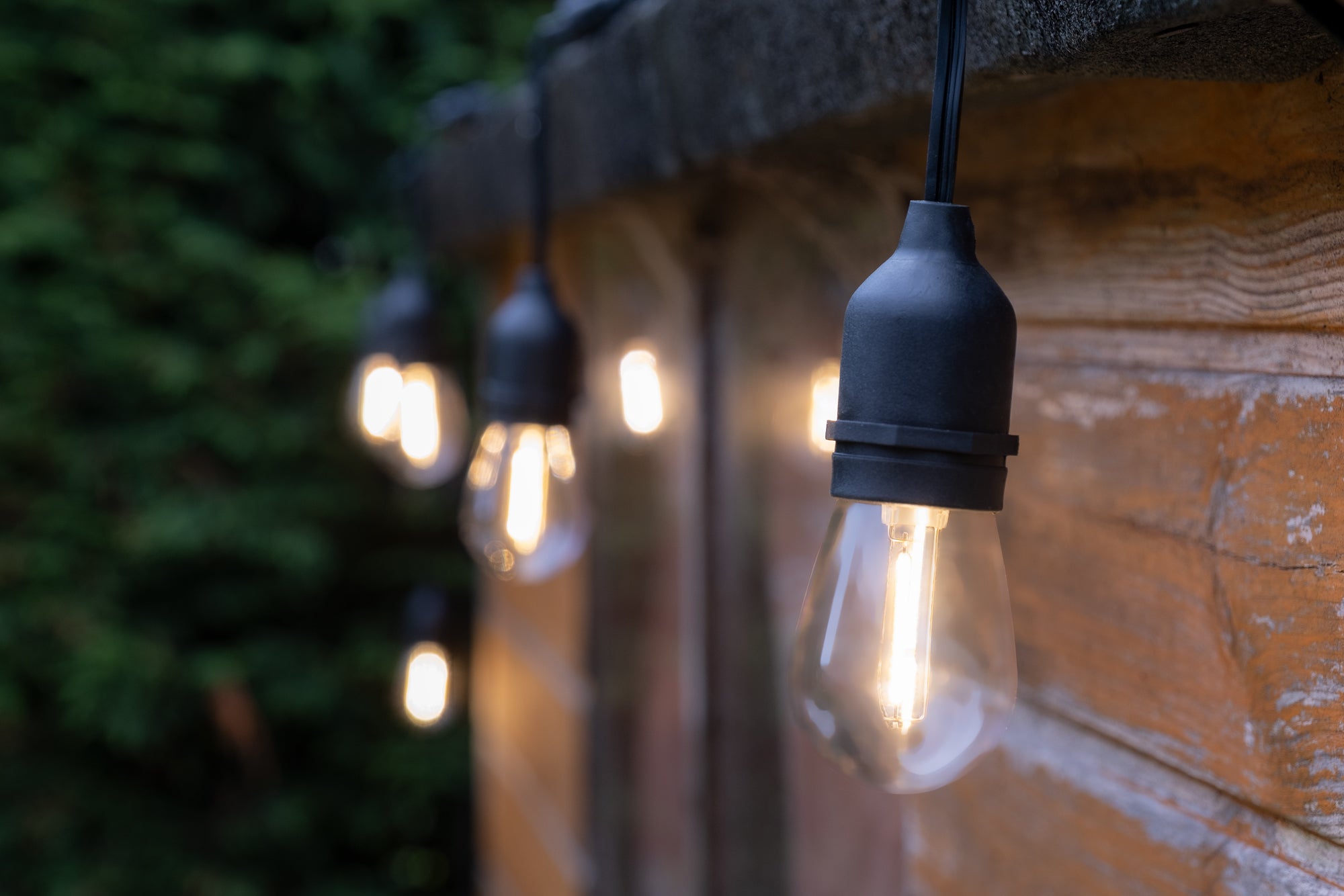 Fesston Festoon Lights | Heavy Duty Festoon Lights | Festoon Lighting