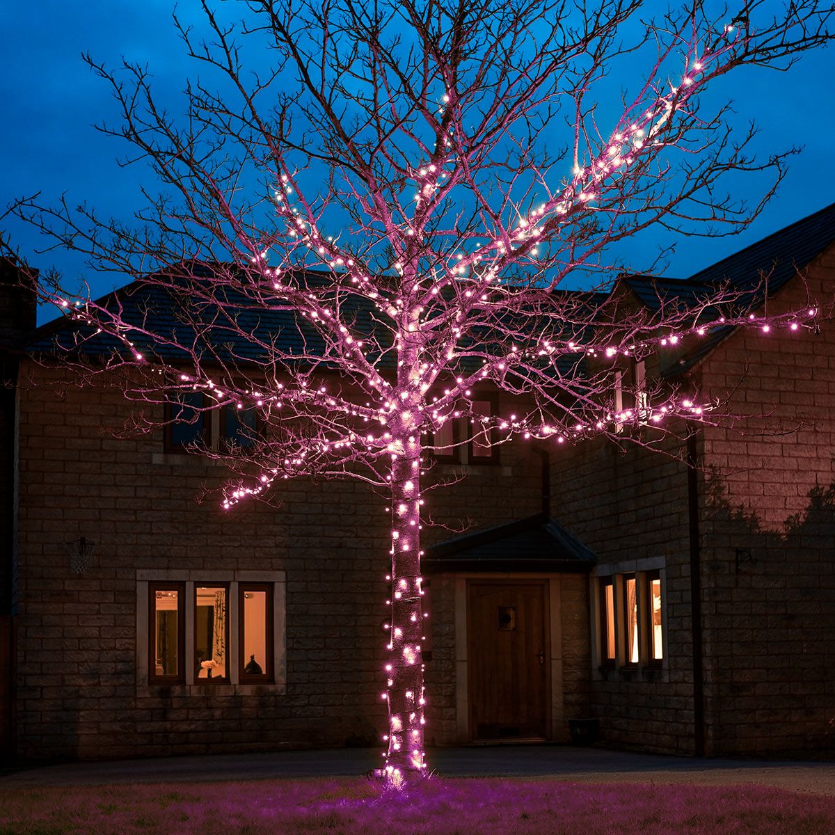  ConnectGo Outdoor LED Fairy Lights in Pink