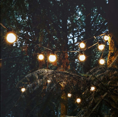 10 Connectable Warm White Festoon Lights with Frosted Bulbs (ConnectPro)