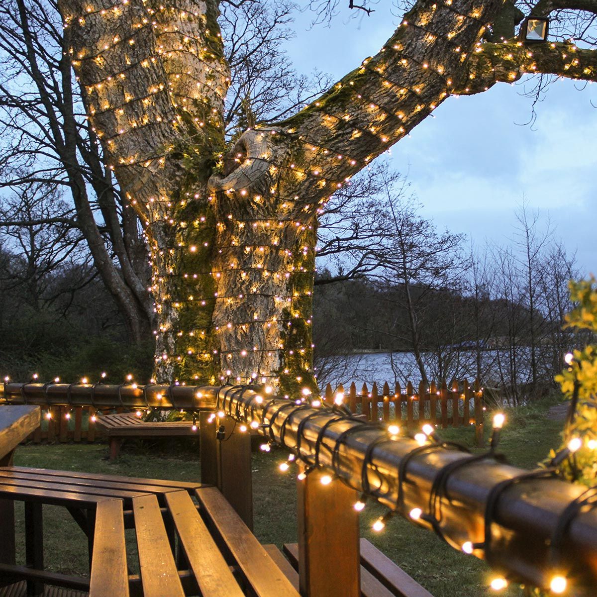 ConnectPro Outdoor LED String Lights, Connectable, Black Rubber Cable