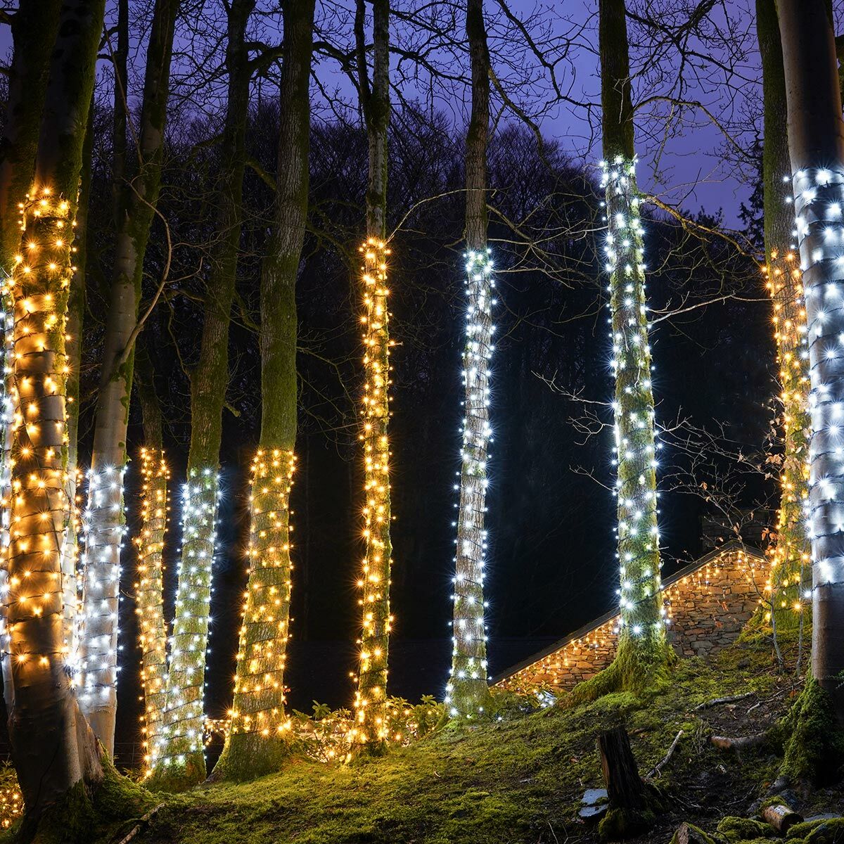 ConnectPro Outdoor LED String Lights, Connectable, Black Rubber Cable